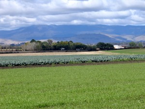 View of Woodbourn