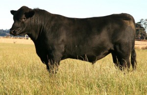 Lot 1 Woodbourn Direction F7
